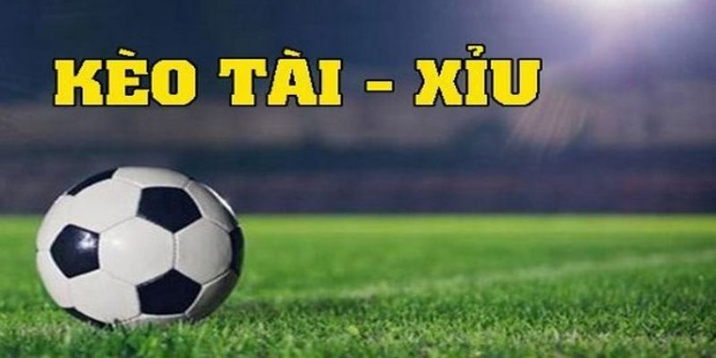 Tại sao nên chọn tài xỉu bóng đá